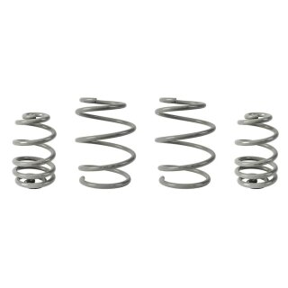 Lowtec Sportfedern Audi RS6 Avant 4G 30/30mm 02.13-