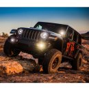 Fox Stossdämpfer HA Elite 2.5 einstellbar Lift 2-3" Jeep Wrangler JL 2018-